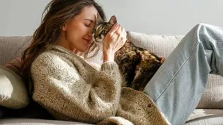 Приметы и запреты на 8 августа: обратите внимание на свою кошку