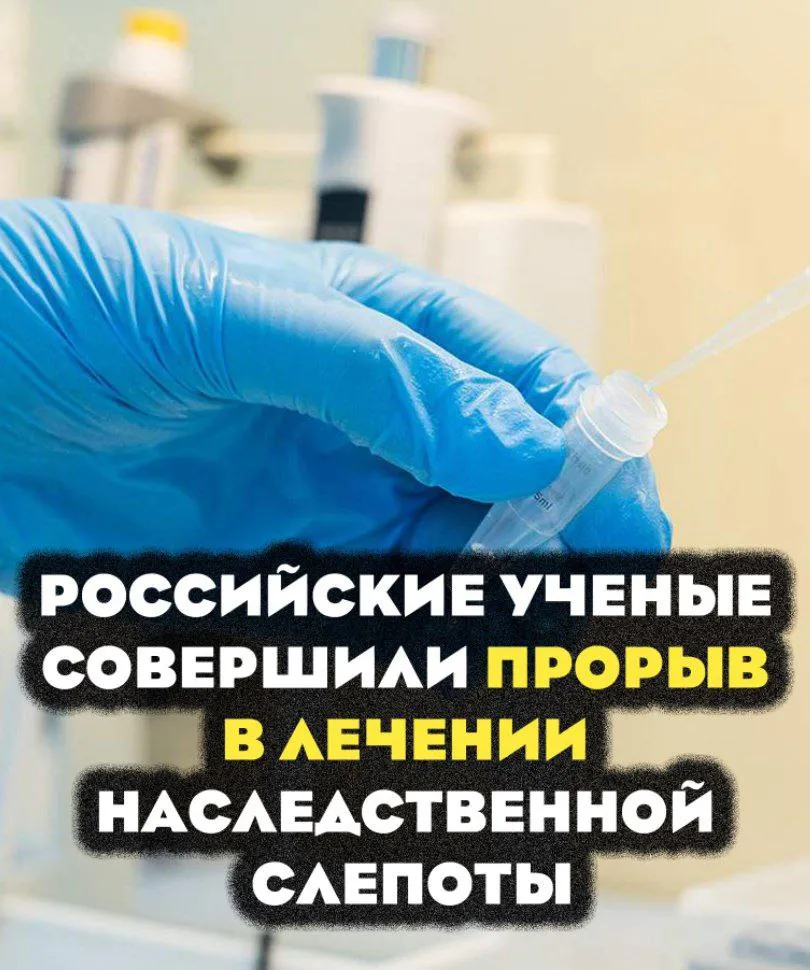 Российские учёные совершили прорыв в лечении наследственной слепоты: найден способ борьбы с синдромом Ашера