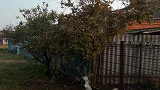 Ваш забор снесут этой весной и не спросят: дачники в негодовании и в ярости