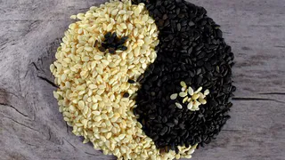Уникальный источник кальция: семена кунжута