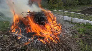 Жги, но проверяй: как не получить штраф за костер на даче