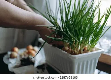 Назван простой и доступный продукт, который резко улучшает работу мозга