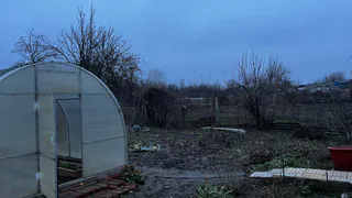 Что нельзя сажать в ноябре: эксперты назвали полный список неудачников сада