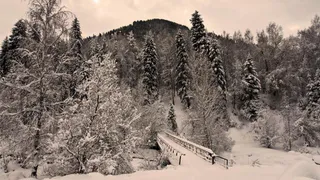 Приметы и запреты на 5 февраля: сегодня не до веселья
