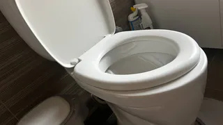 Как недорогой шампунь и пара секретных компонентов помогут вам очистить унитаз - станет белоснежным