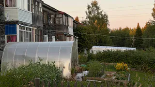 Новые штрафы за бизнес на даче: что нужно знать владельцам участков