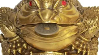 Куда нужно поставить денежную жабу, чтобы купаться в деньгах