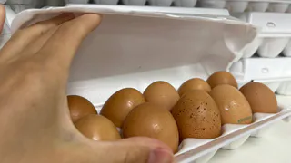 Сотрудники птицефабрик избегают яиц категории С0: скрытые причины и маркетинговые хитрости