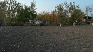 Бахилы в апреле скупаю пачками - и не нарадуюсь новой хитрости: вот как использую весной