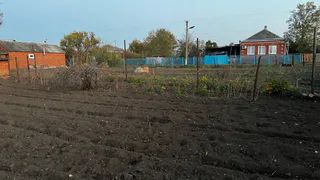 Дачники схватились за сердце: моментально лишатся земли все, у кого участок в собственности - жесткое правило с 1 марта