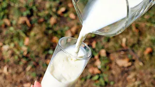 Как продлить свежесть молока с помощью поваренной соли