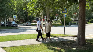 Над этими советскими методами хранения хихикали соседи — теперь так делает каждый дачник