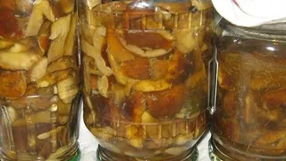 Маринованные грибы - самый вкусный рецепт