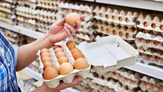 Яичные короли пока решили отступить