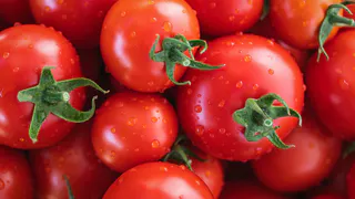 Посадила и забыла: вкусней томатов не пробывали, не требуют пасынкования и подвязки — не сорт, а мечта