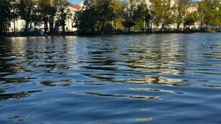 "Слезы на глазах от вони": Абхазия оставила  неприятный осадок отдыхающим