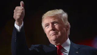 Дональд Трамп поддерживает предложение Путина о переговорах с Украиной
