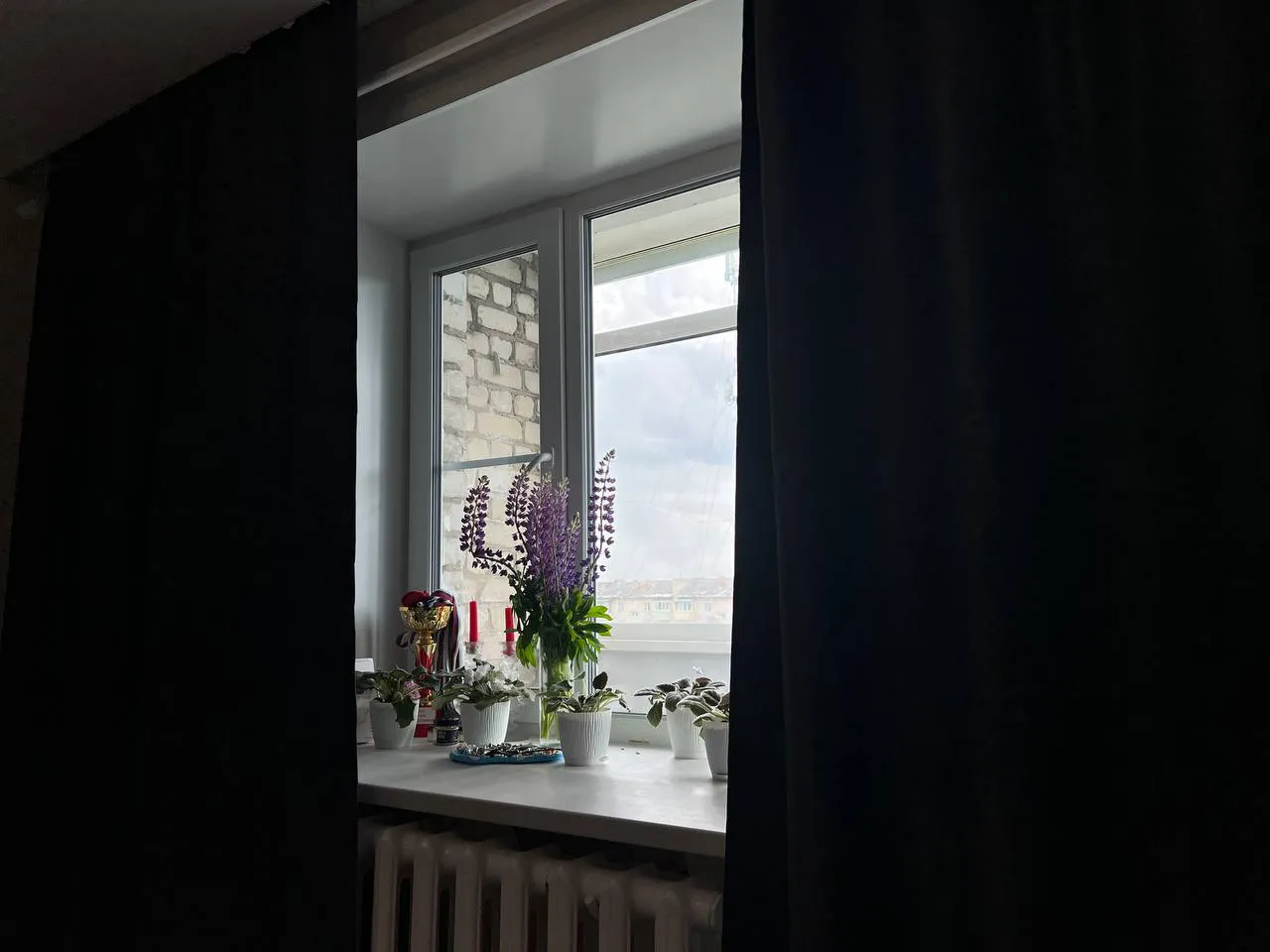 Кого нельзя пускать в свой дом даже из родственников: мудрый совет от Харуки Мураками