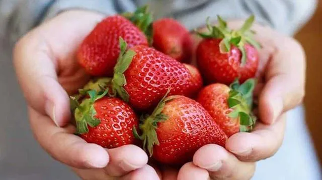 Эксперт назвала три продукта, которые продлевают жизнь