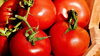 После высадки томатов — обязательно: 1 литр под каждый куст — и сочные помидоры собираем огромными вёдрами
