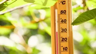 Погода недели: шараханья от тепла к холоду под шум дождя