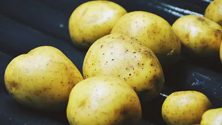 Как вырастить крупный картофель: секреты успешной посадки