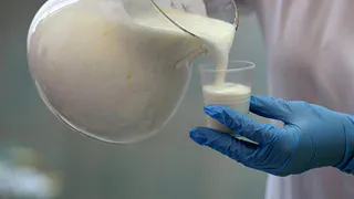 Россияне могут остаться без сметаны