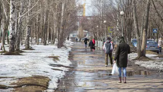 Февраль стартовал с обширной оттепели